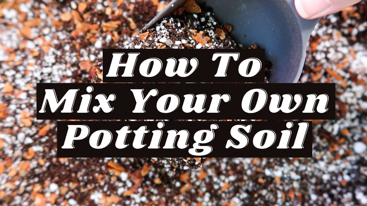 How I Mix My Own Potting Soil For Houseplants | chunky + well draining, answering your FAQ