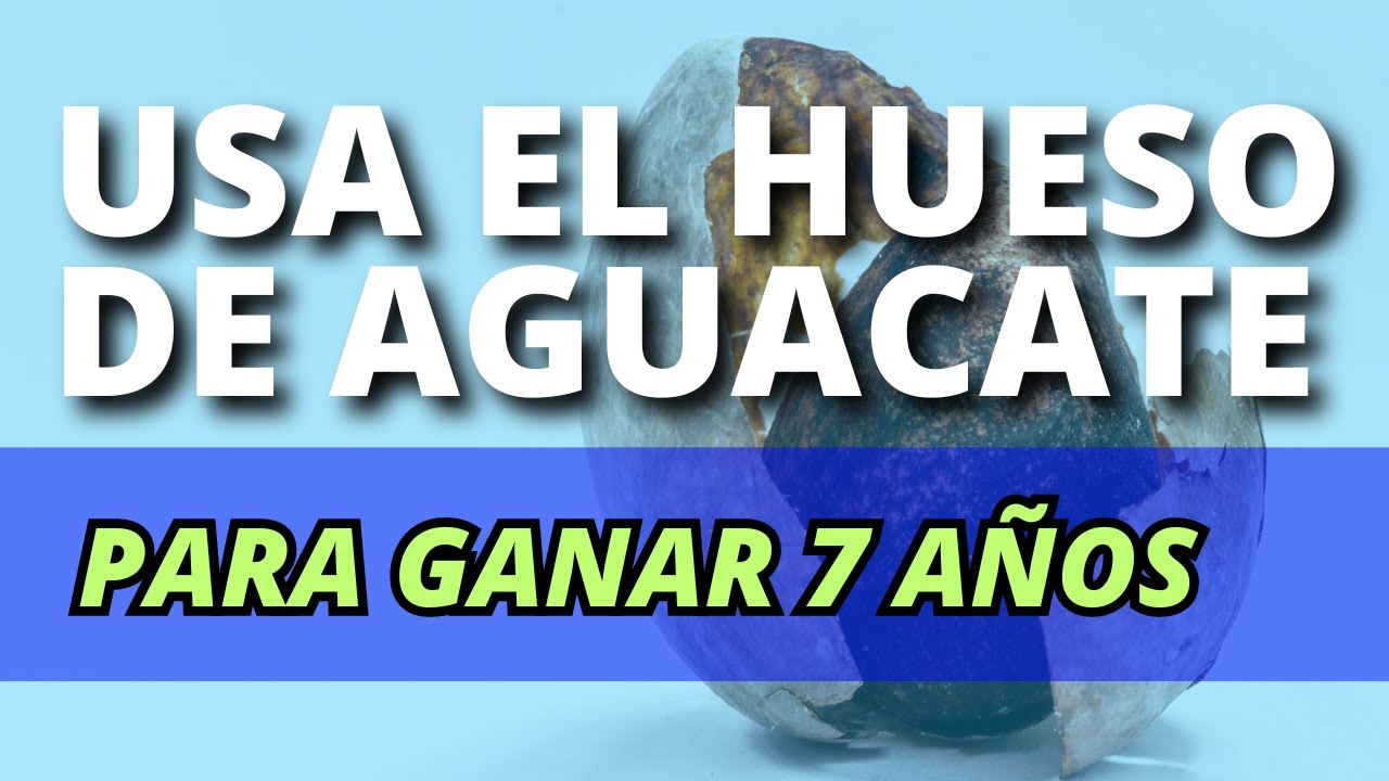 El Poder Insospechado del Hueso del Aguacate para un ENVEJECIMIENTO SALUDABLE