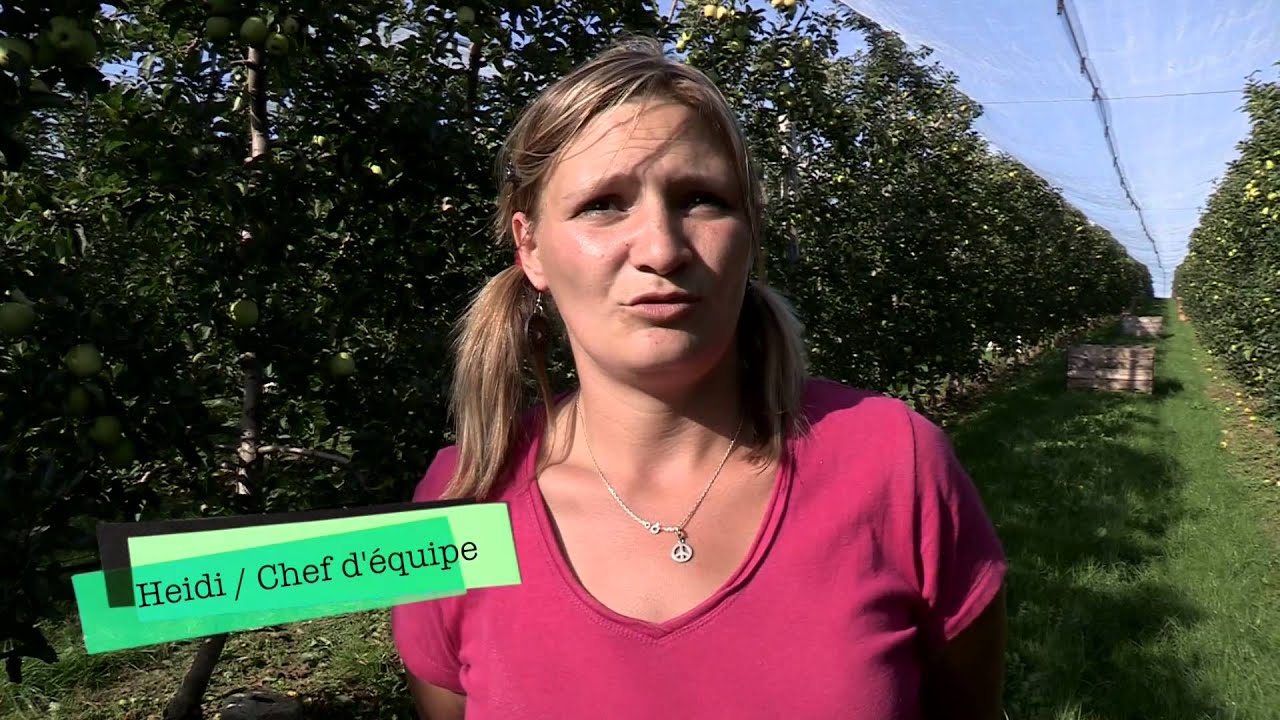 L'Arboriculture en Limousin