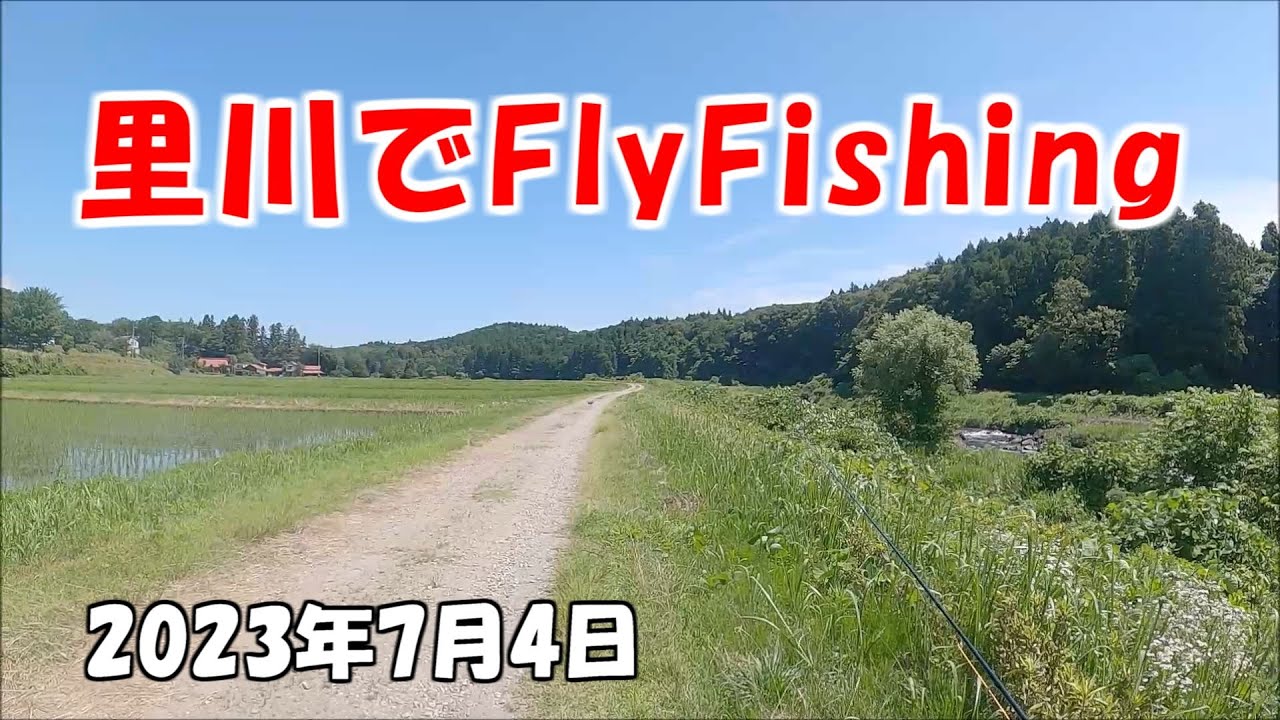 車田釣り日記2023/7/4 里川でFlyFishing