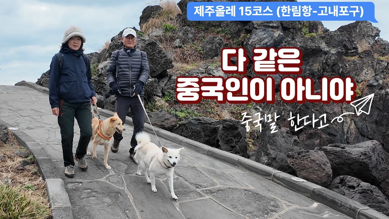 광복이해방이와함께걷는제주올레15코스