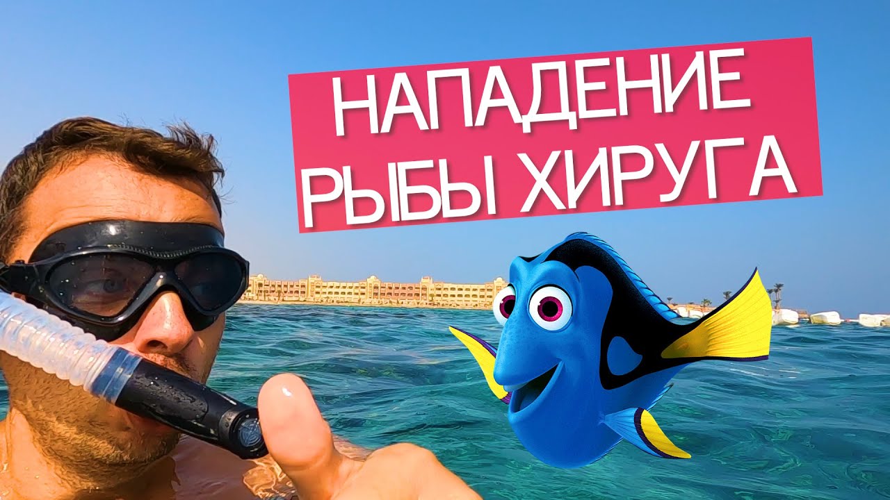 ОТЕЛЬ С РИФОМ-ARABIA AZUR 4* Хургада,Египет.