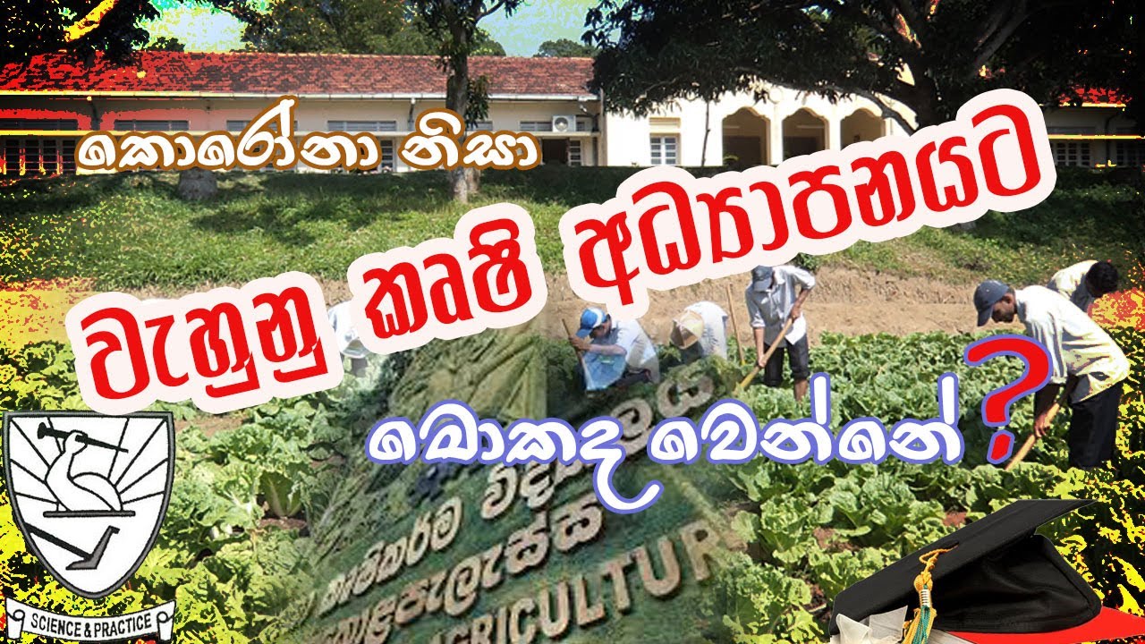What will happen to the agricultural education which was stopped due to Covid-19 Pandemic?
