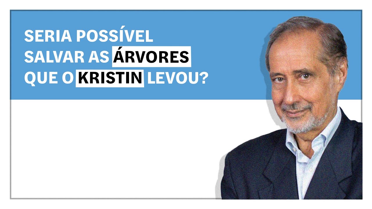 José Manuel Fernandes: Seria possível salvar as árvores que o Kristin levou?