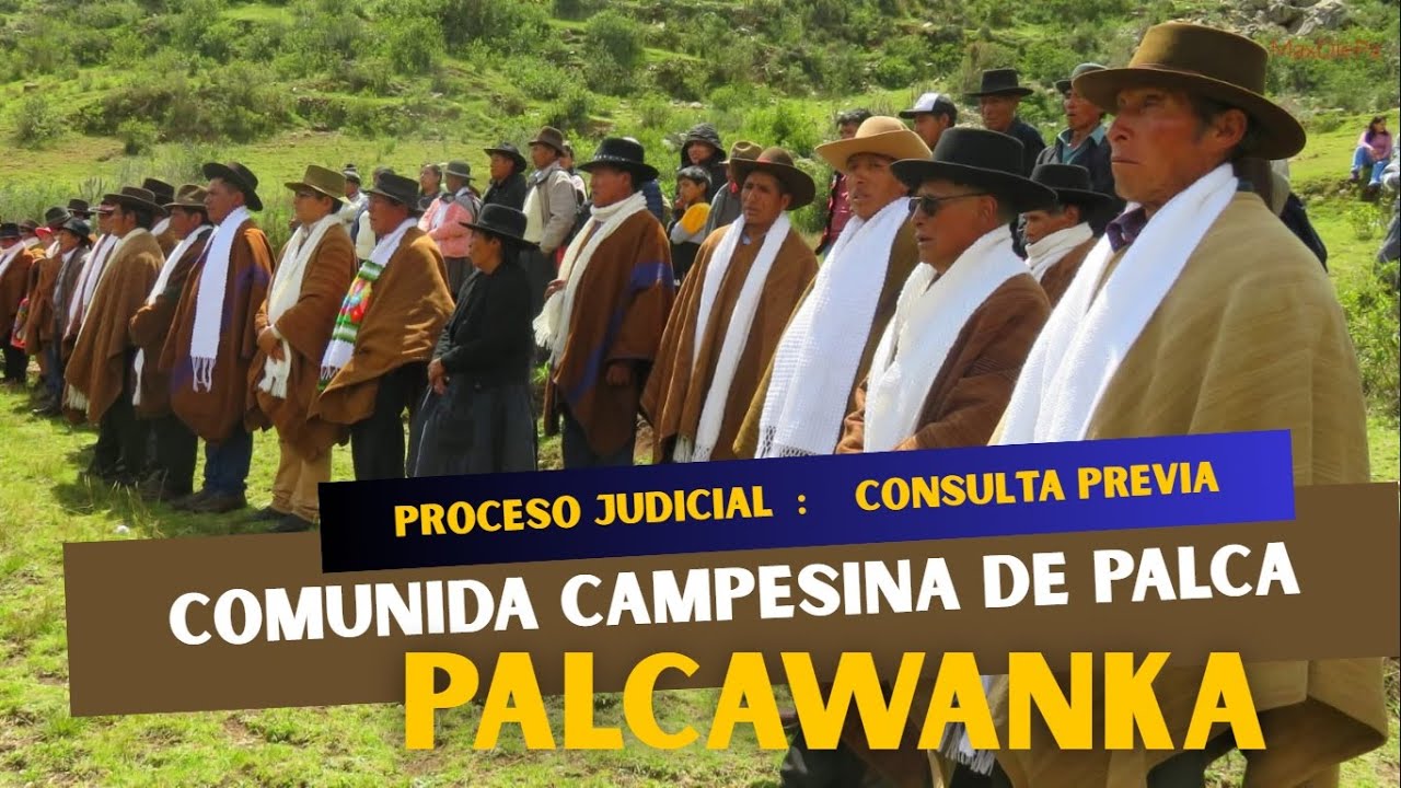 TRIBUNAL CONSTITUCIONAL |CONSULTA PREVIA |Comunidad Campesina de Palca - Consorcio Minero Palcawanka