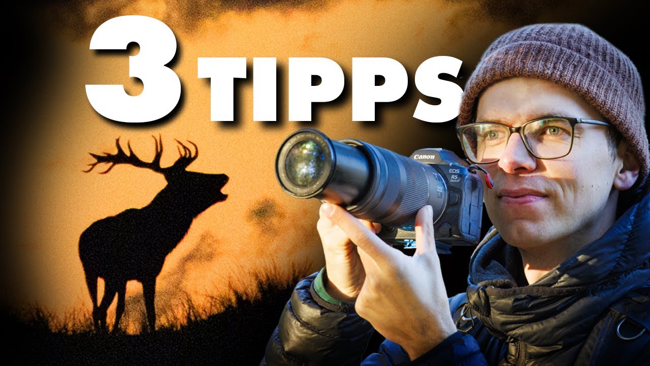 Diese 3 Ideen nutzt fast niemand - Kreative Naturfotografie