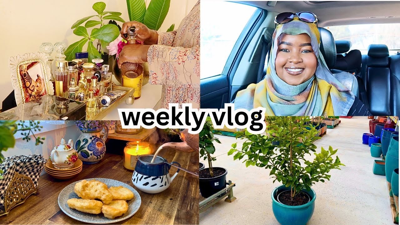 أيام شتوية ممطرة هادئة فلوق أسبوعي روتين COZY RAINNY RELAXING SPRING DAYS WEEKLY VLOG 2024
