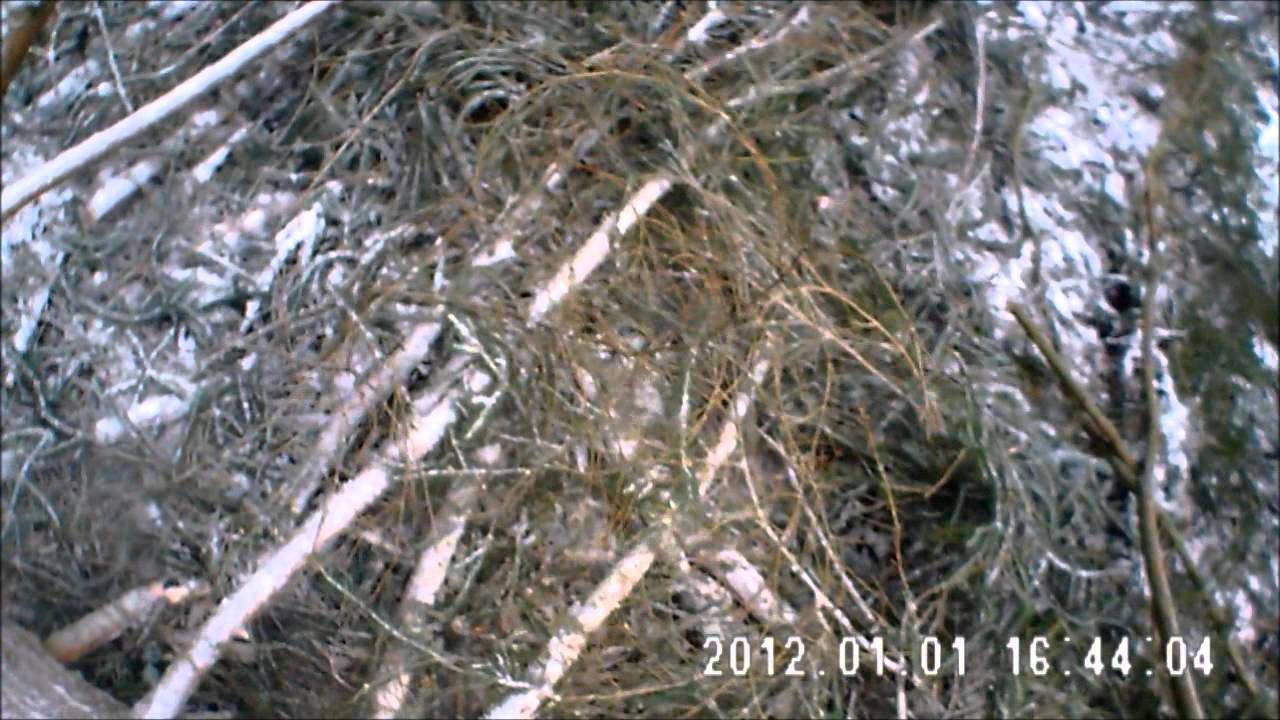 Starkholzf&auml;llung im Winter von A - Z im Lamer Winkel