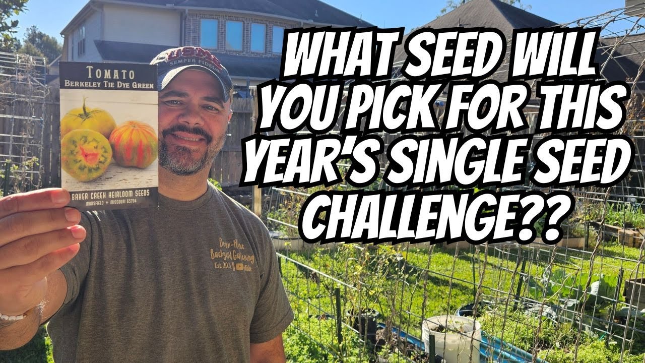 Одно семя. Одна задача. Давайте растим. 🌱 #SingleSeedChallenge2026