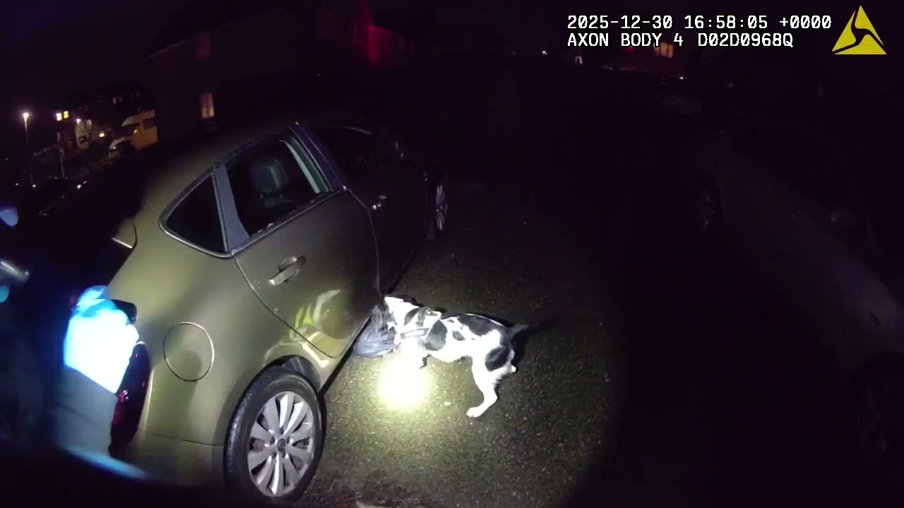 PD Cloud assists in drugs find