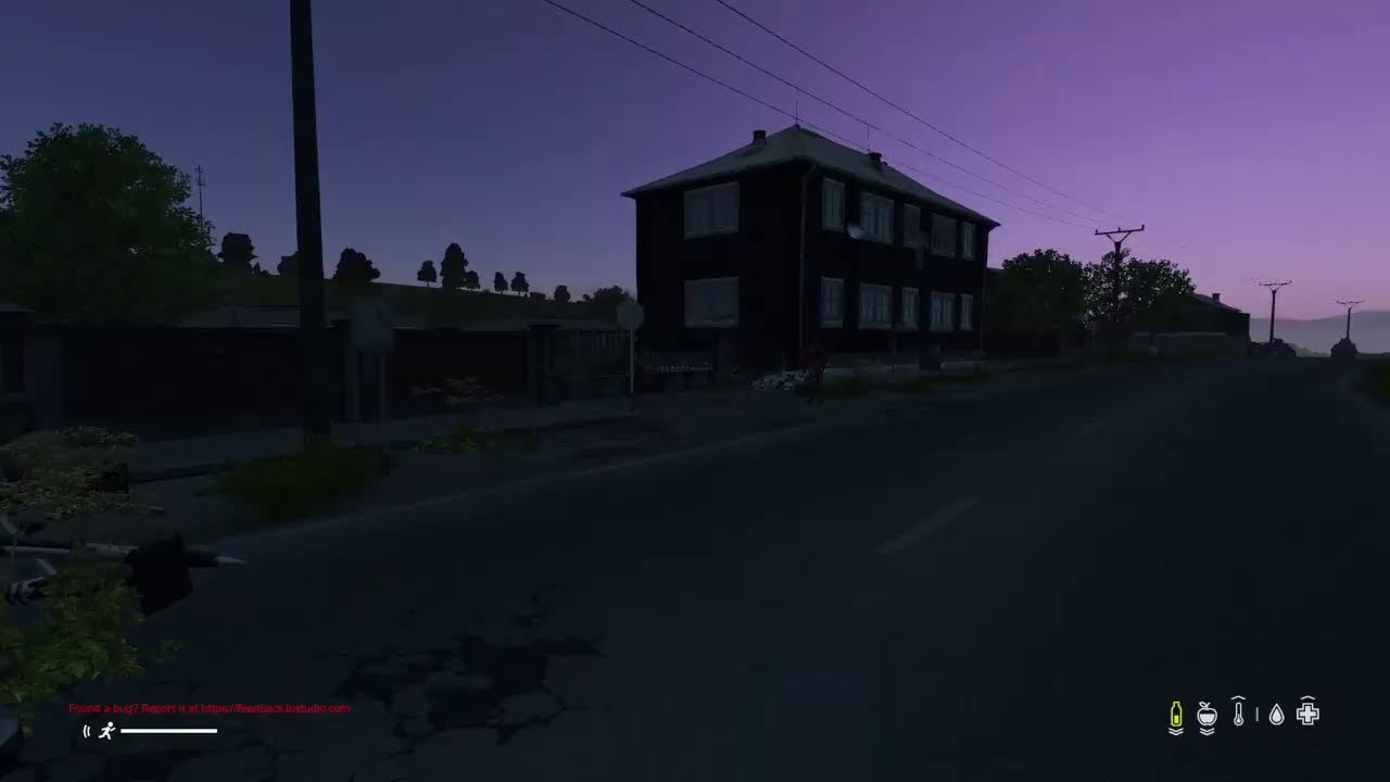 DayZ