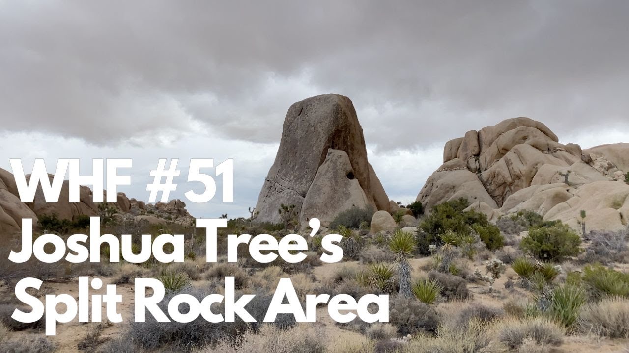WHF #51 | Joshua Tree's Split Rocks | Rubicon, Bird of Fire, & others + A Big Whip (Full)