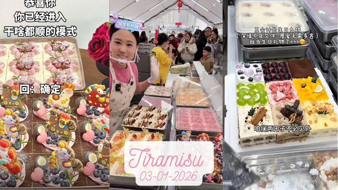Tiramisu Cake Livestream Sale (100 trays)|Zhao Zhao #03012026 #tiramisu #cake #dessert