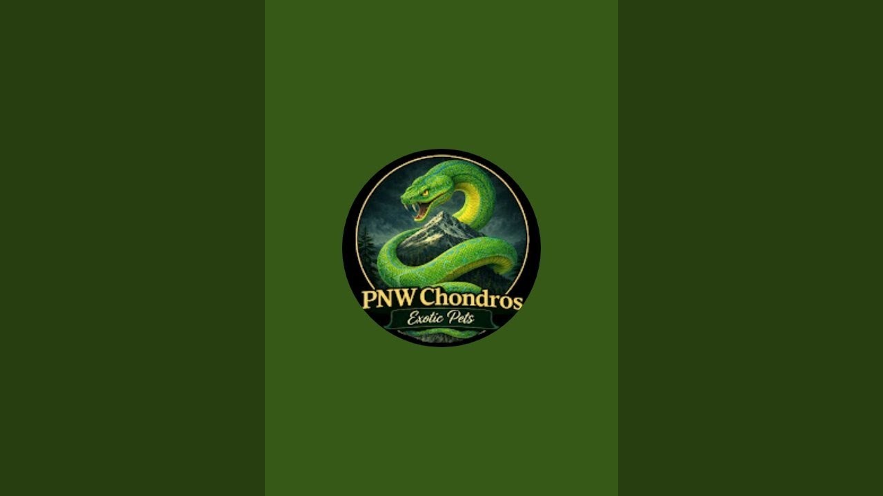 PNW-Chondros is live with Kali