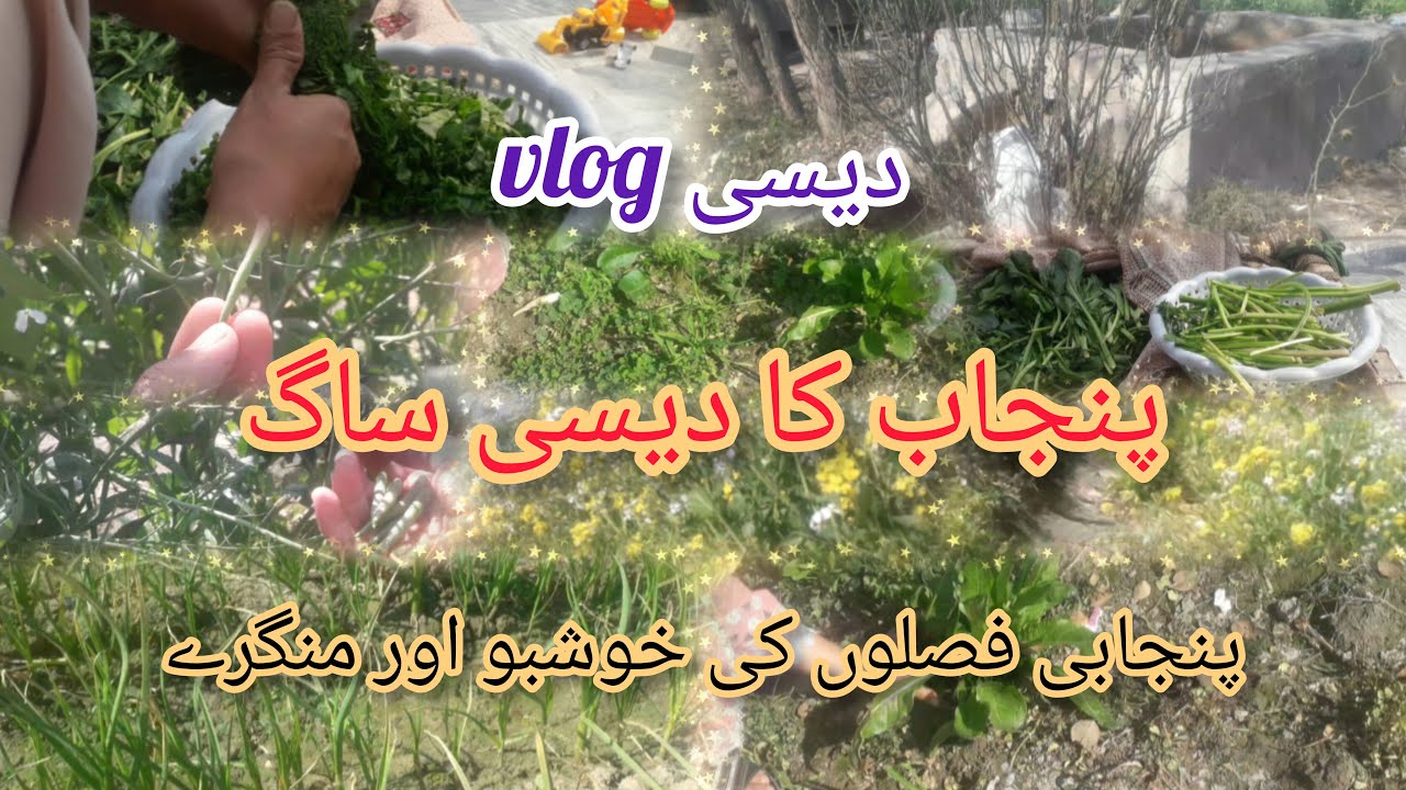 Pjunjabi vlog/desi saag or palak bnai/aj mein mongry torny bahir gai/bahir ka view#housewaifemoazma