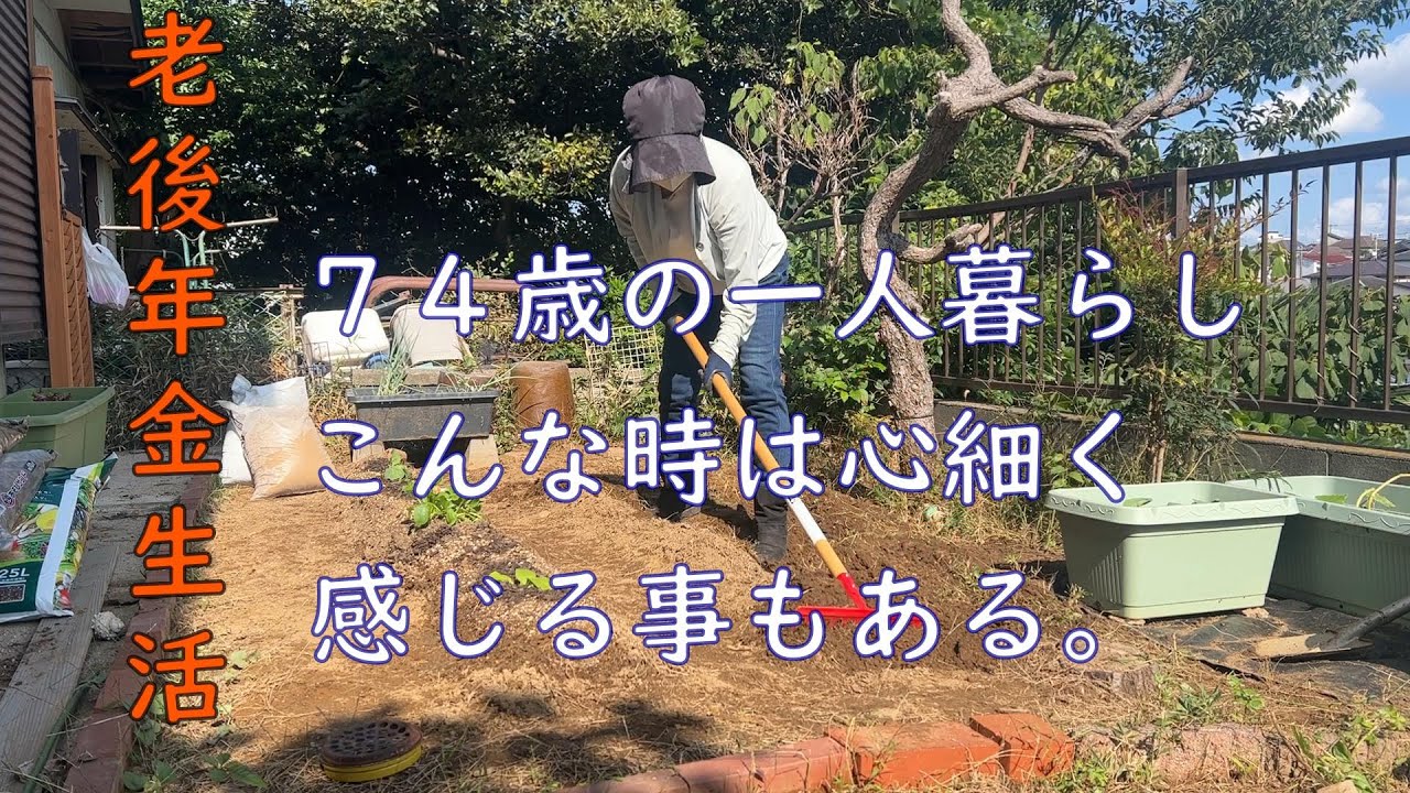 【70代年金生活】一人暮らしの生活、楽でイイワと思っていても時折心細く感じる事。