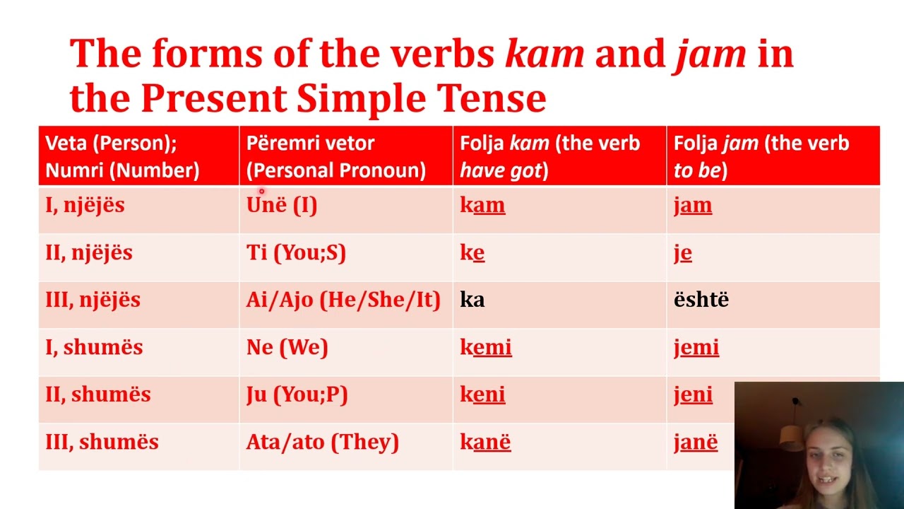 The verbs jam (to be) and kam (have got) in the Present Simple Tense