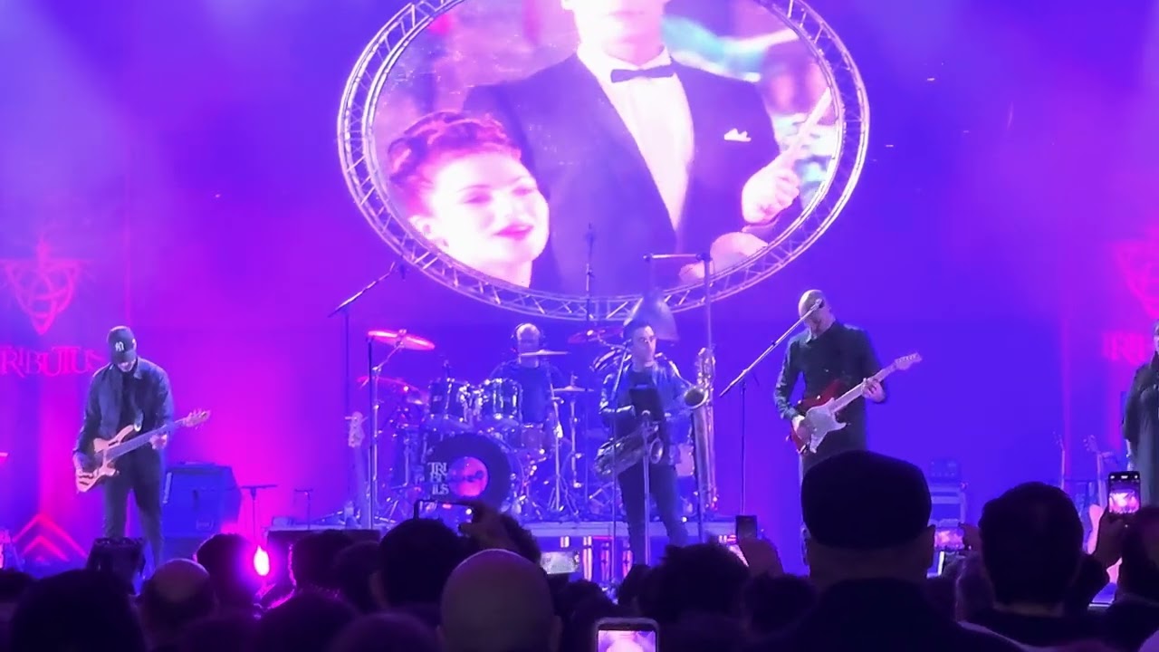 Shine On You Crazy Diamond - Tributos Pink Floyd 