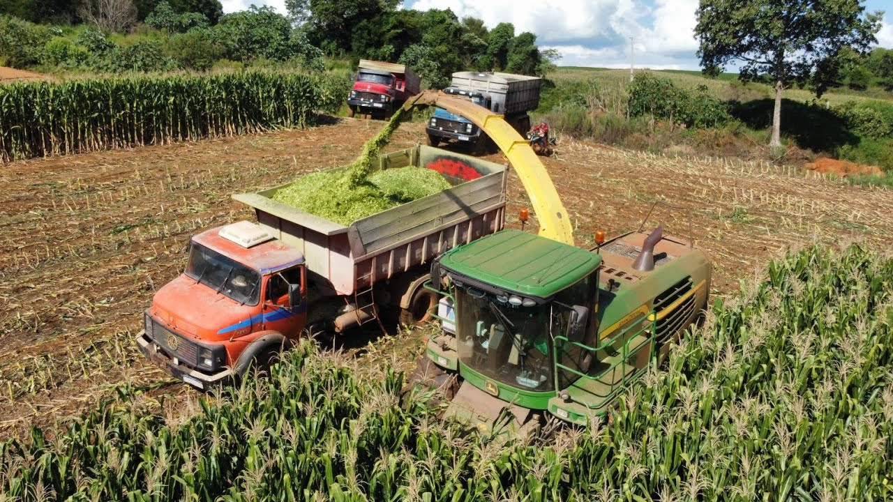 SILAGEM DE MILHO NA FAZENDA LEITEIRA 🐄🚀