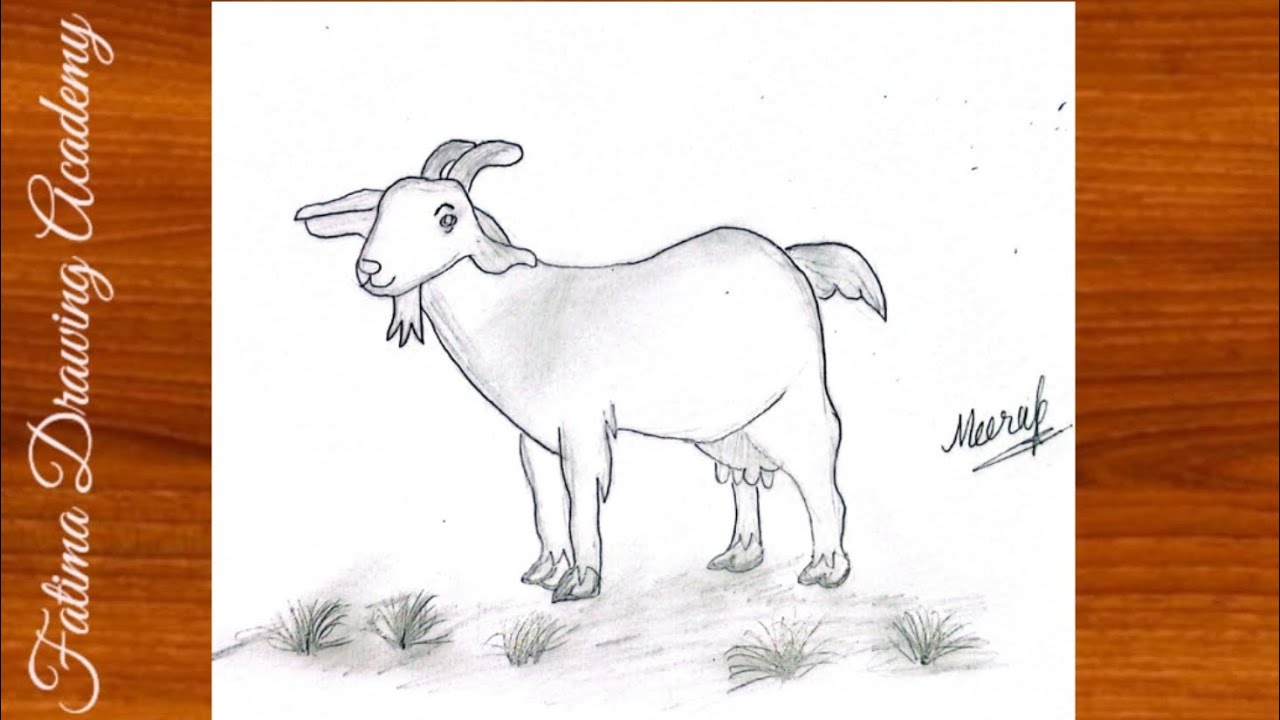 Easy Goat Drawing Step by Step 🐐✏️