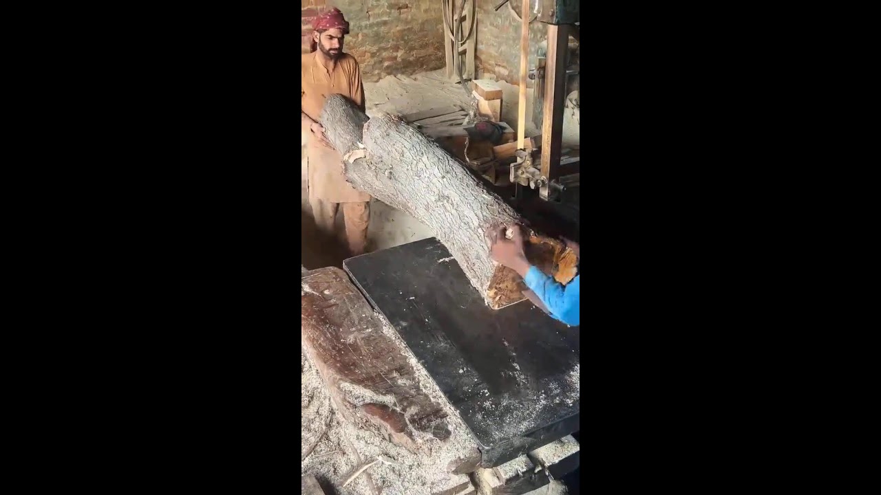 sawmilling live