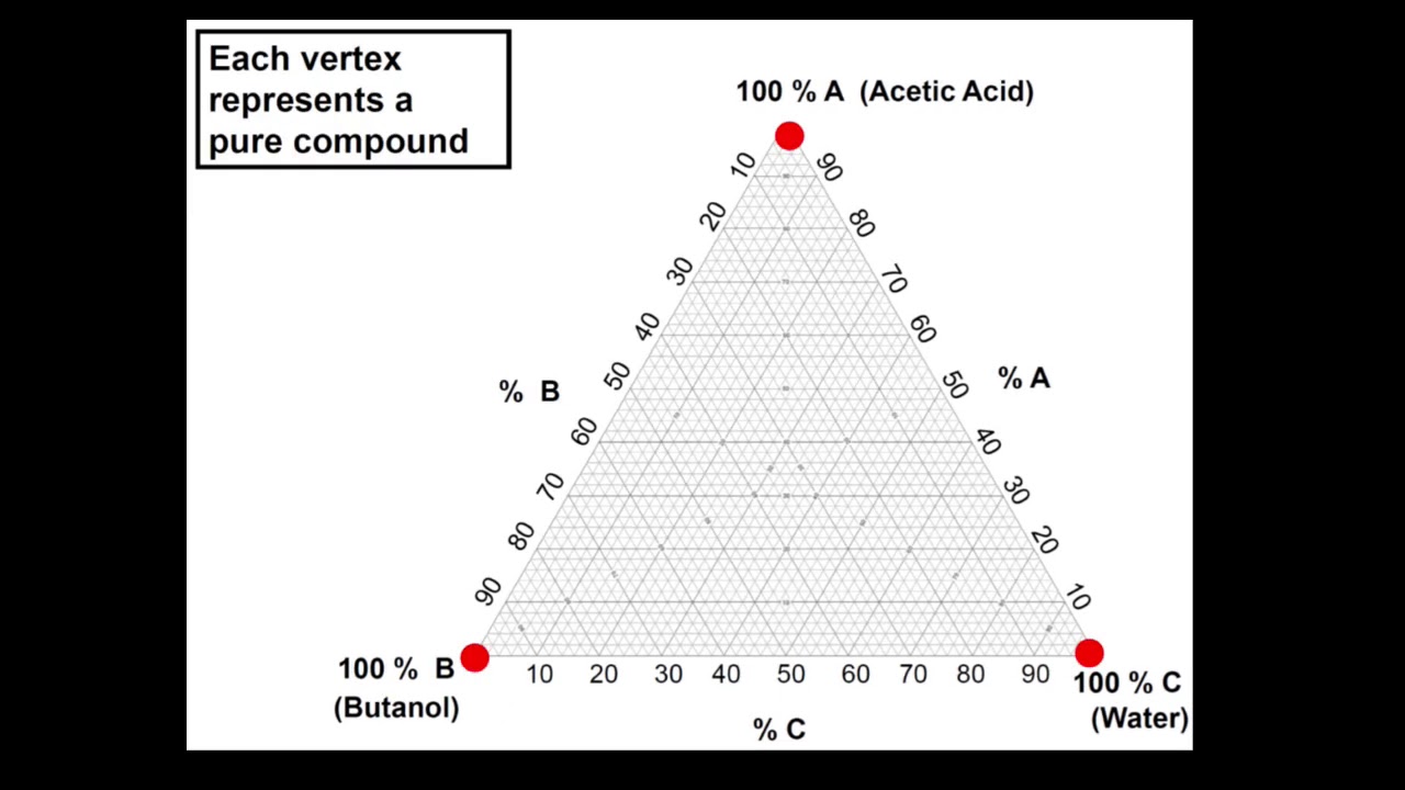 The Phase Diagram of a Three Component System:  Water, 1-Butanol and Acetic Acid