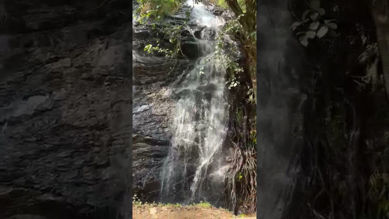 beautiful waterfall view on the way of dubare elephant 🐘🐘🐘 camp