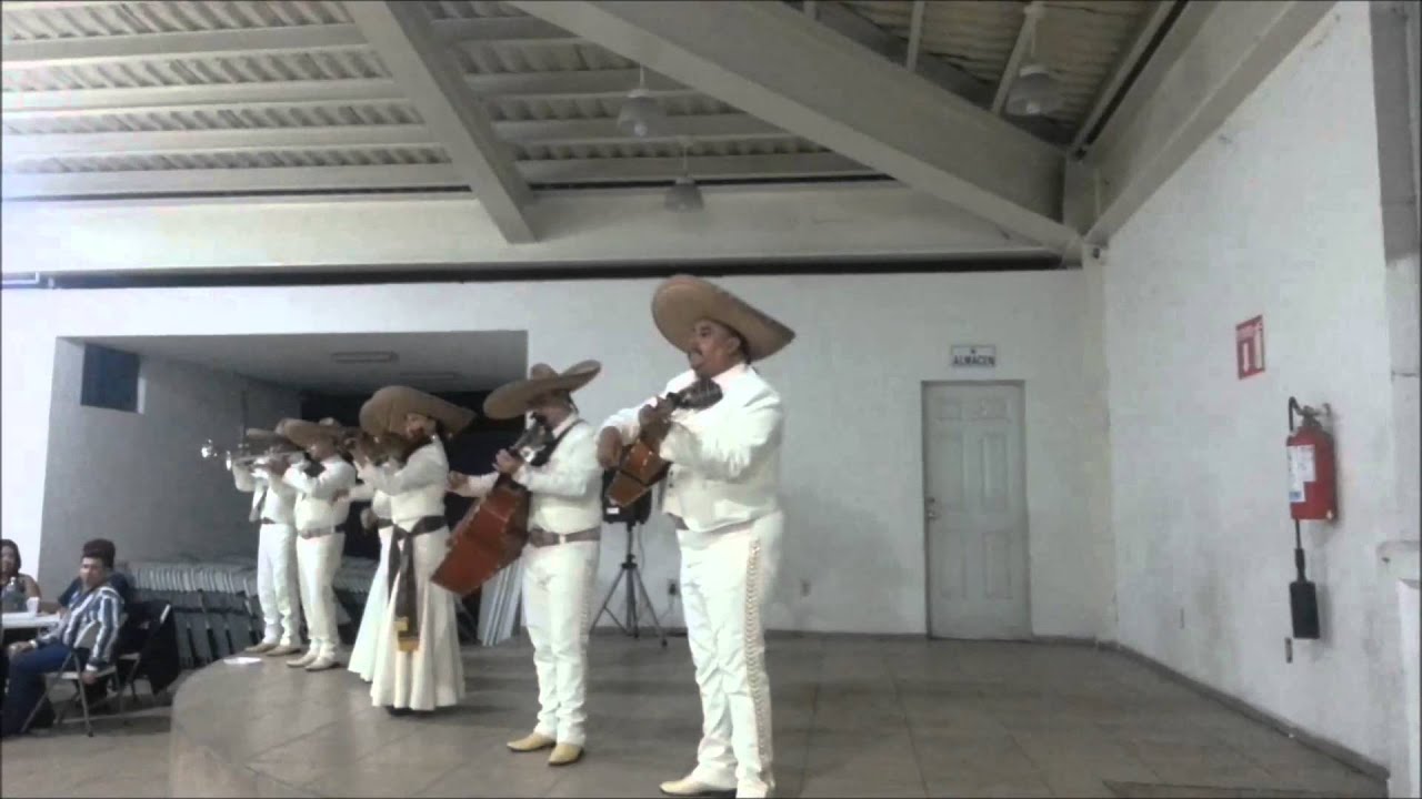 MARIACHI EN MONTERREY MARIACHI TORITOS
