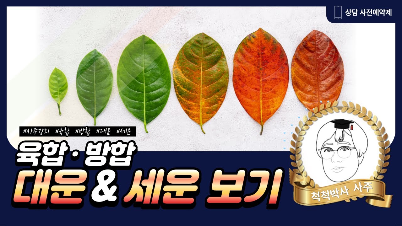 육합 &middot; 방합 - 대운 &middot; 세운 보기