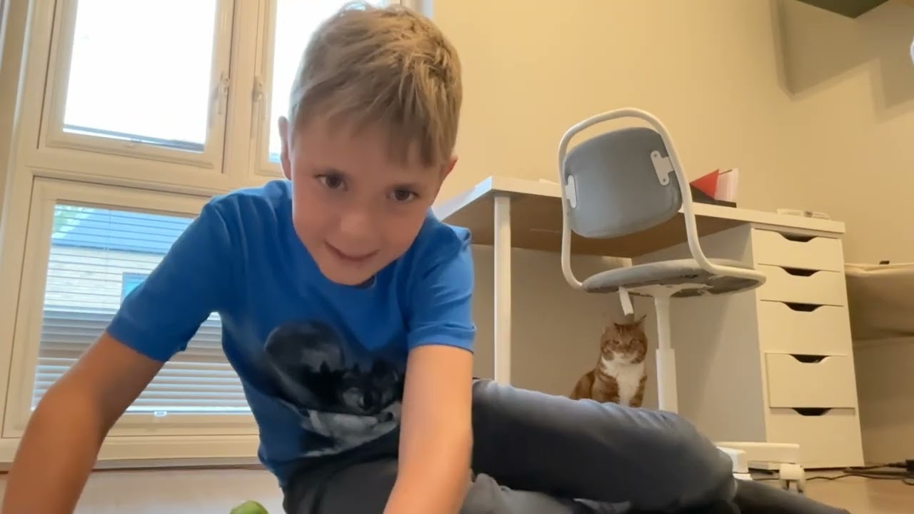 Are cats afraid of cucumbers