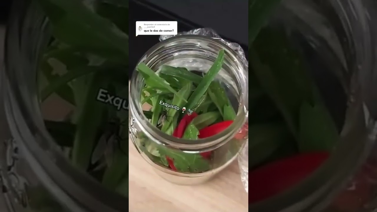 La vida de moscardo