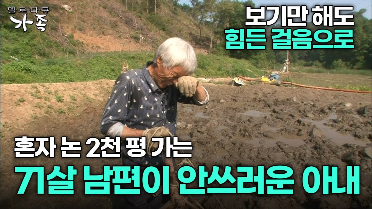 [다큐 &lsquo;가족&rsquo; 278회 1부] 보기만 해도 힘든 걸음으로 혼자 논 2천 평 가는 71살 남편이 안쓰러운 아내