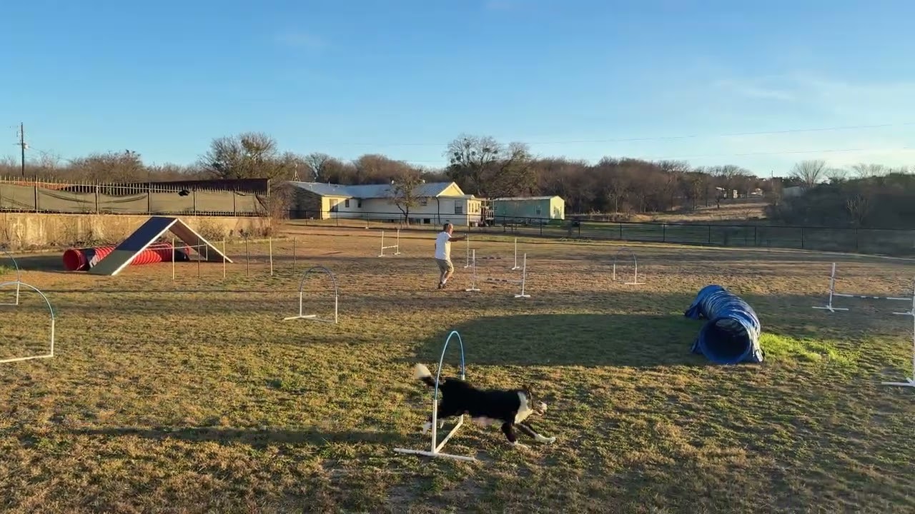 Texas cowtown team - Round 1