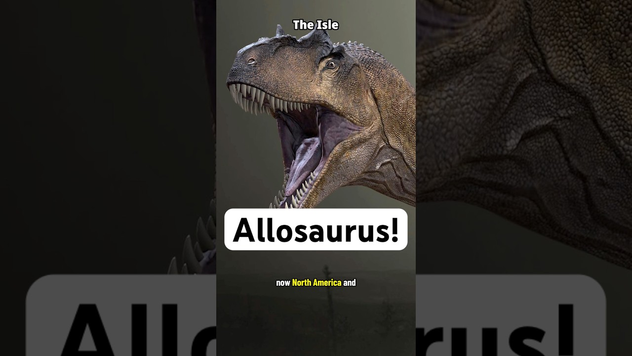 Let&rsquo;s Talk Allosaurus!