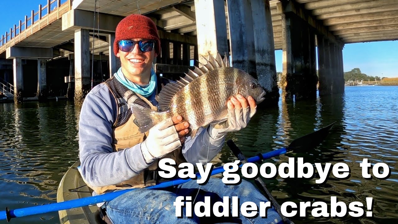 This New Sheepshead Bait Is Game Changing (How To Make, Rig, And Fish It)