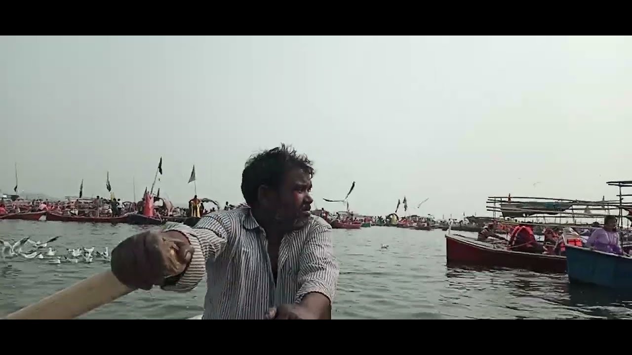 Beautiful Siberian Birds in Prayagraj |Maghmela 
