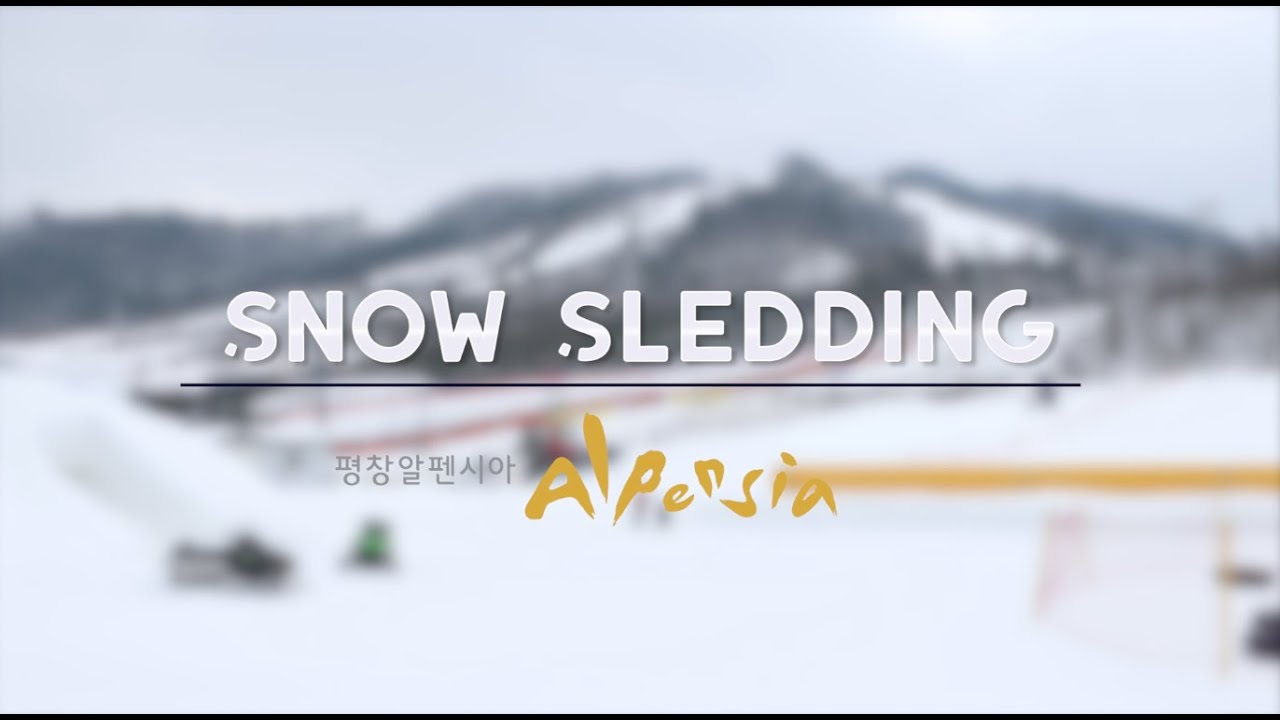 썰매 Snow Sledding in Korea, Alpensia Resort