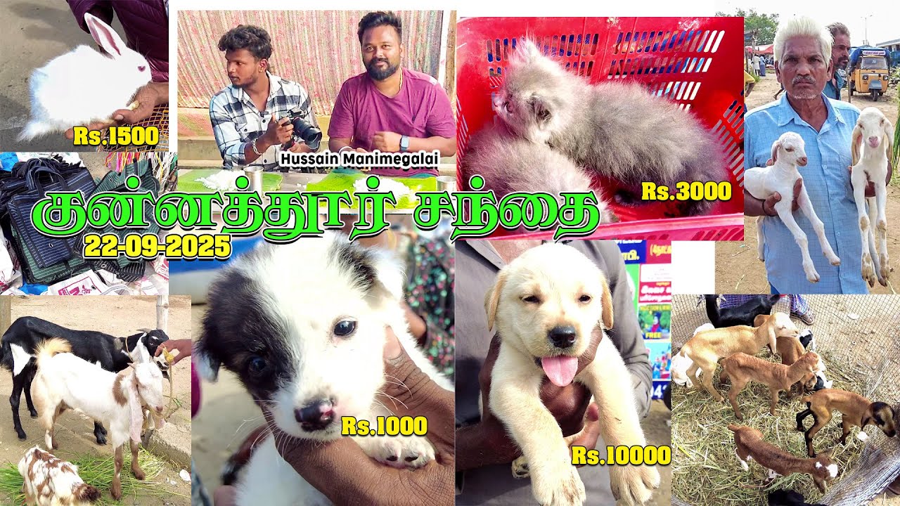 KUNNATHUR SANTHAI|குன்னத்தூர் சந்தை| 22 SEP 2025|santhai kariya taste paniyachu
