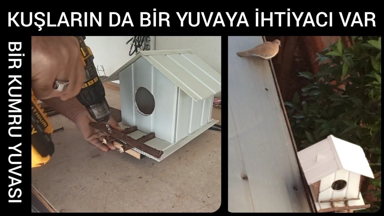 Kuş evi nasıl yapılır? Güzel ve basit bir kuş yuvası.