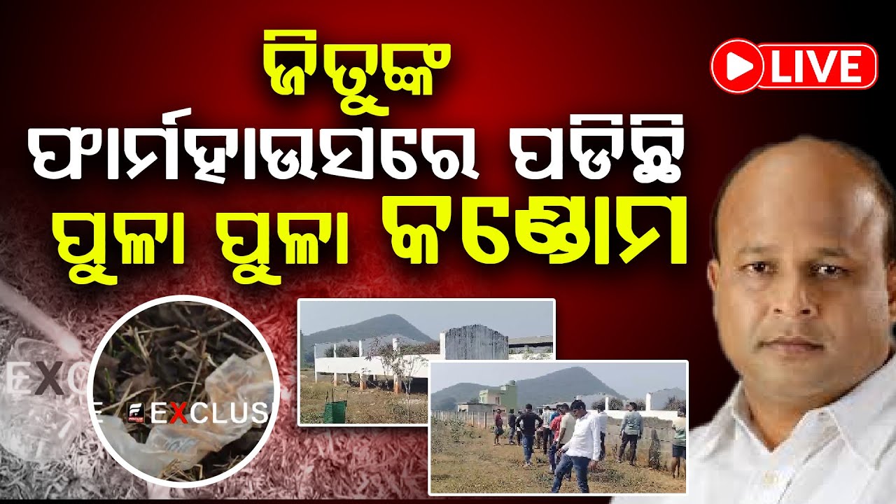 🔴LIVE: ଜିତୁଙ୍କ ଫାର୍ମହାଉସରେ ପଡିଛି ପୁଳା ପୁଳା କଣ୍ଡୋମ ll FOCUS PLUS ||