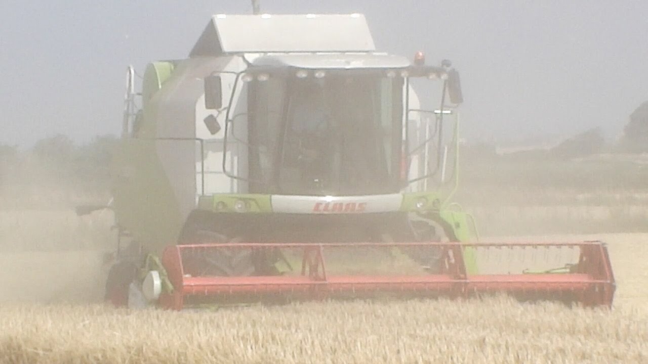 Farming Year in Norfolk