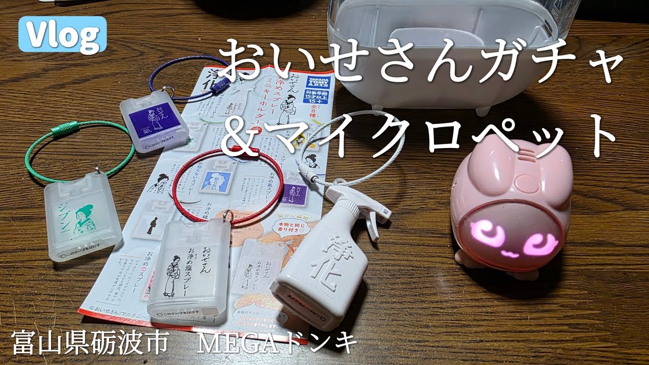 【Vlog】ガチャで沼ってマイクロペットで癒される　#ガチャ　#マイクロペット