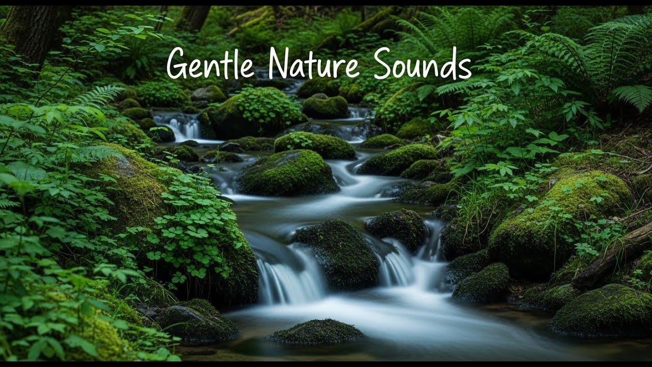 Mountain River Sounds 12 Hours Deep Sleep and Anxiety Relief 🏔️