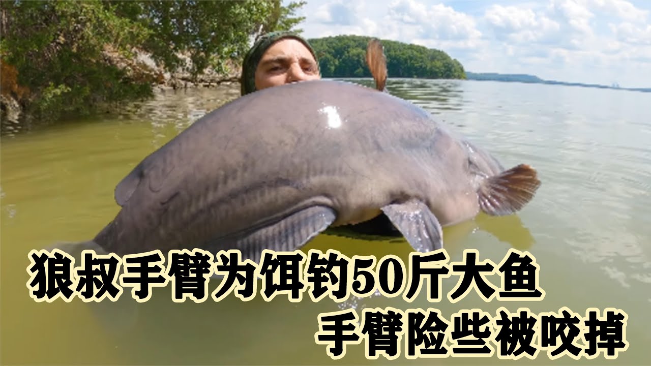 狼叔作死挑战50斤大鱼， 手臂险些被咬掉 ，看着都疼 纪录片
