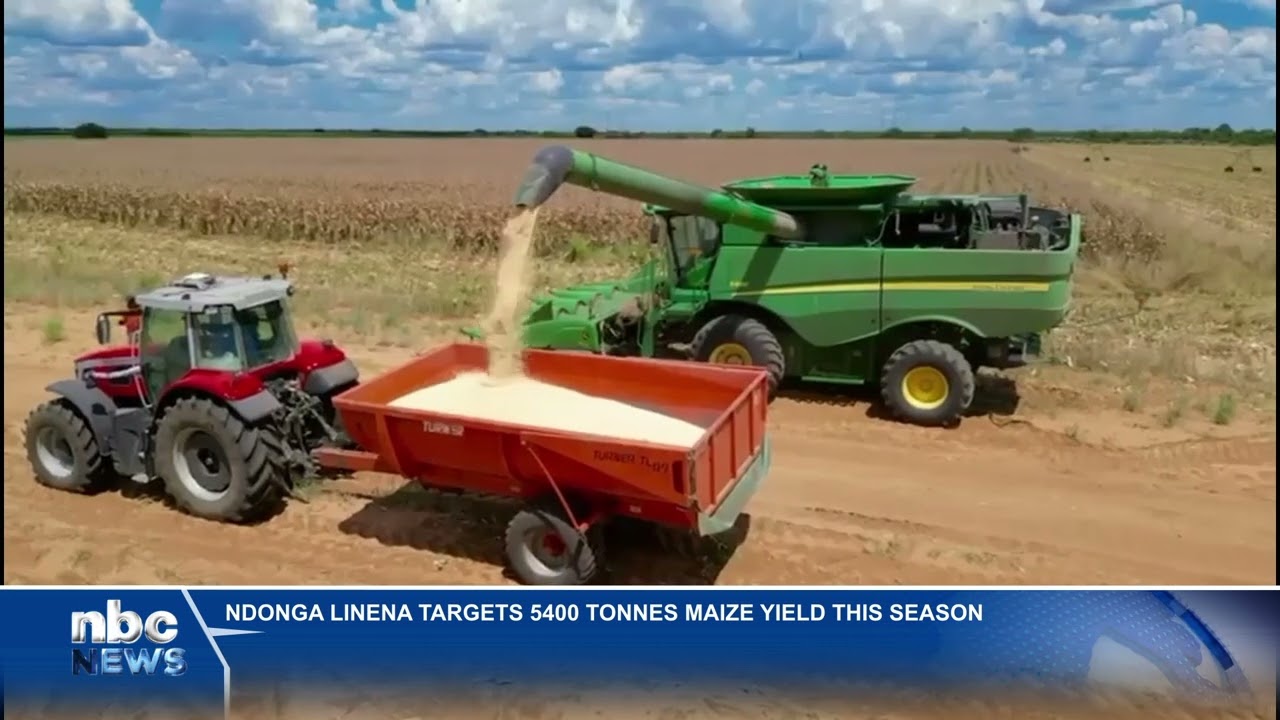 Ndonga Linena targets 5400 tonnes maize yield this season - nbc