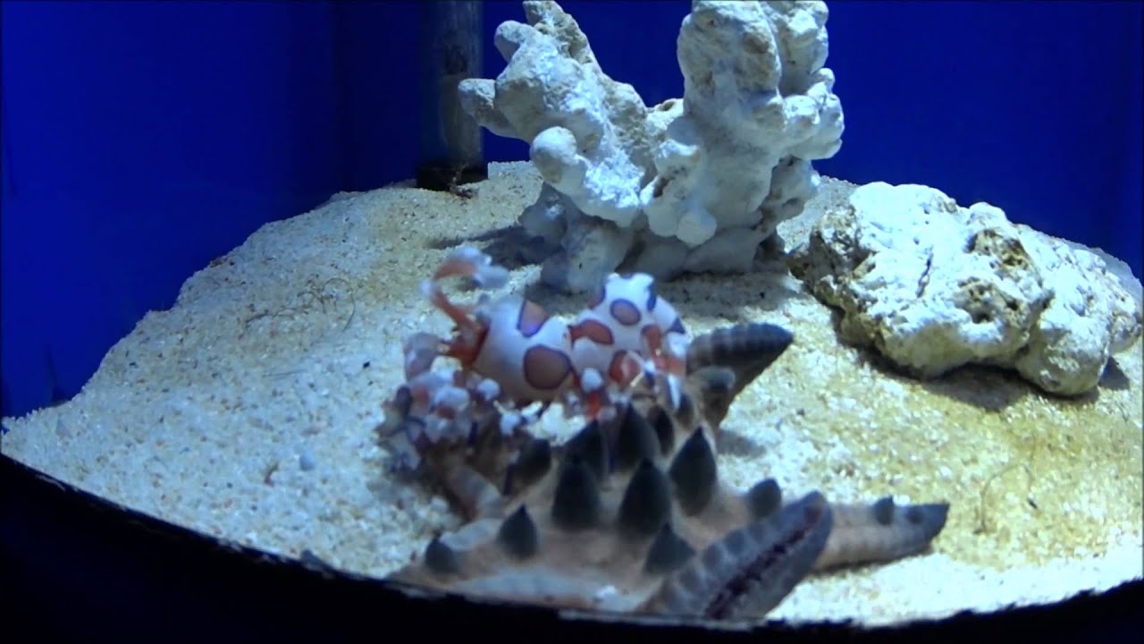 サンシャイン水族館
