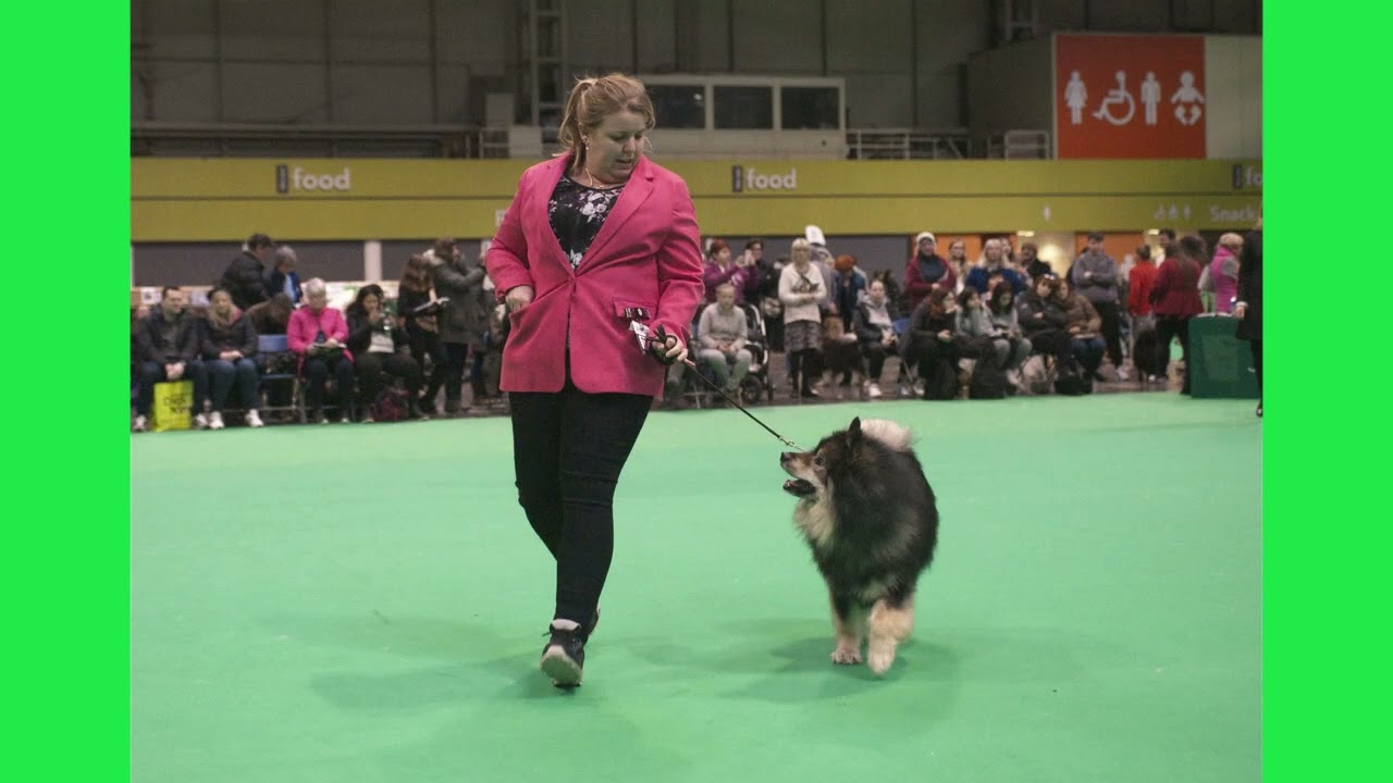 Crufts 2023