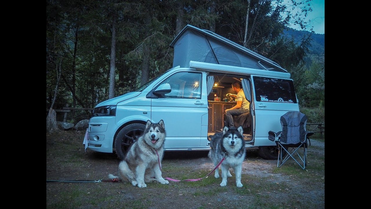 VW T5 camper van touring with malamutes