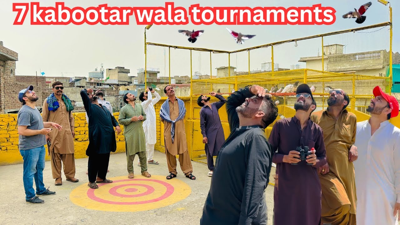 7 kabootar wala tournaments 😱 | Dar pigeons club |