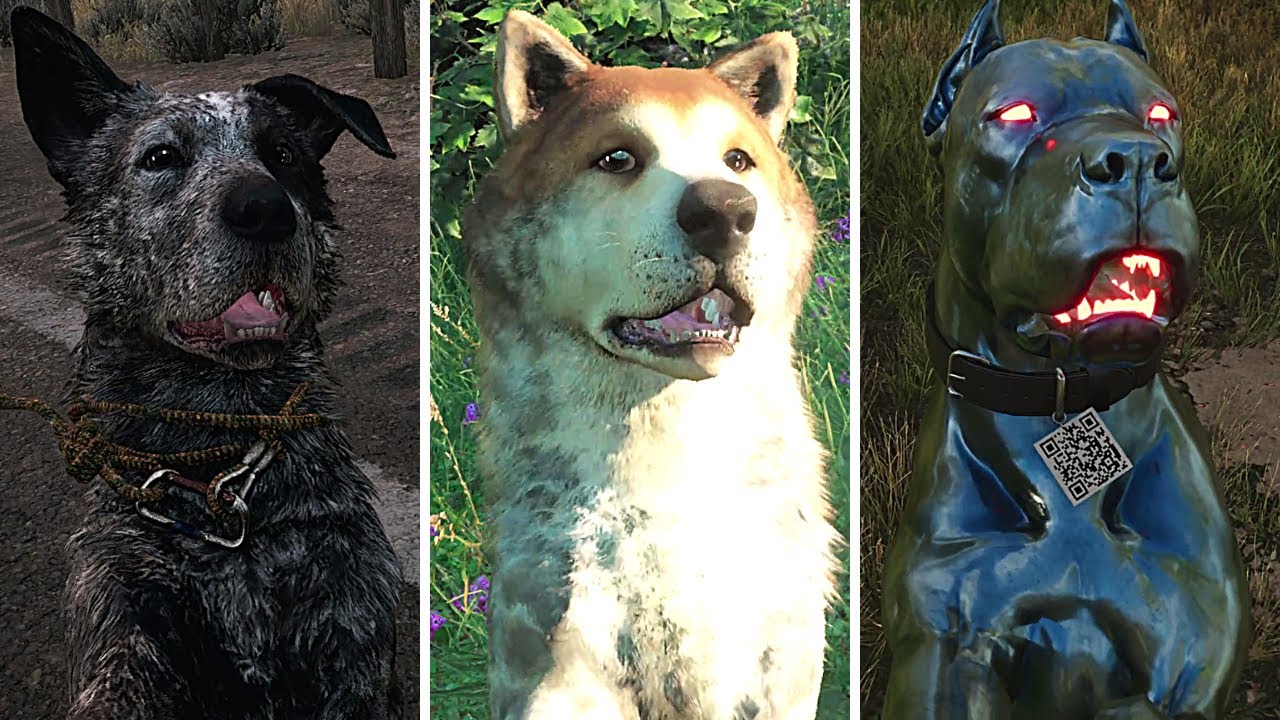 All Animal Petting Animations in Far Cry